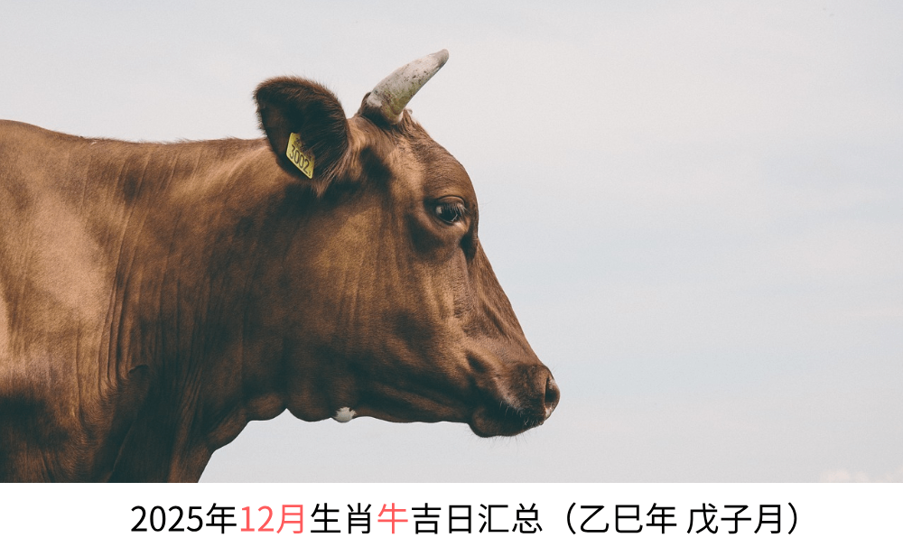 2025年12月生肖牛黄道吉日汇总（乙巳年戊子月）