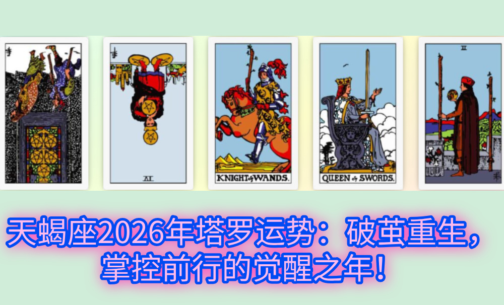 天蝎座2026年塔罗运势：破茧重生，掌控前行的觉醒之年！