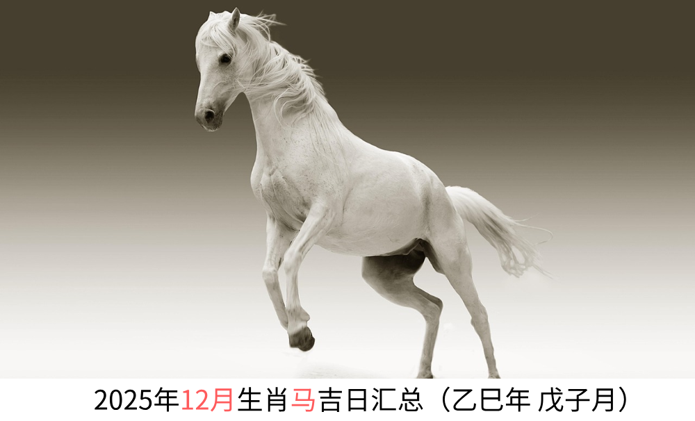 2025年12月生肖马黄道吉日汇总（乙巳年戊子月）