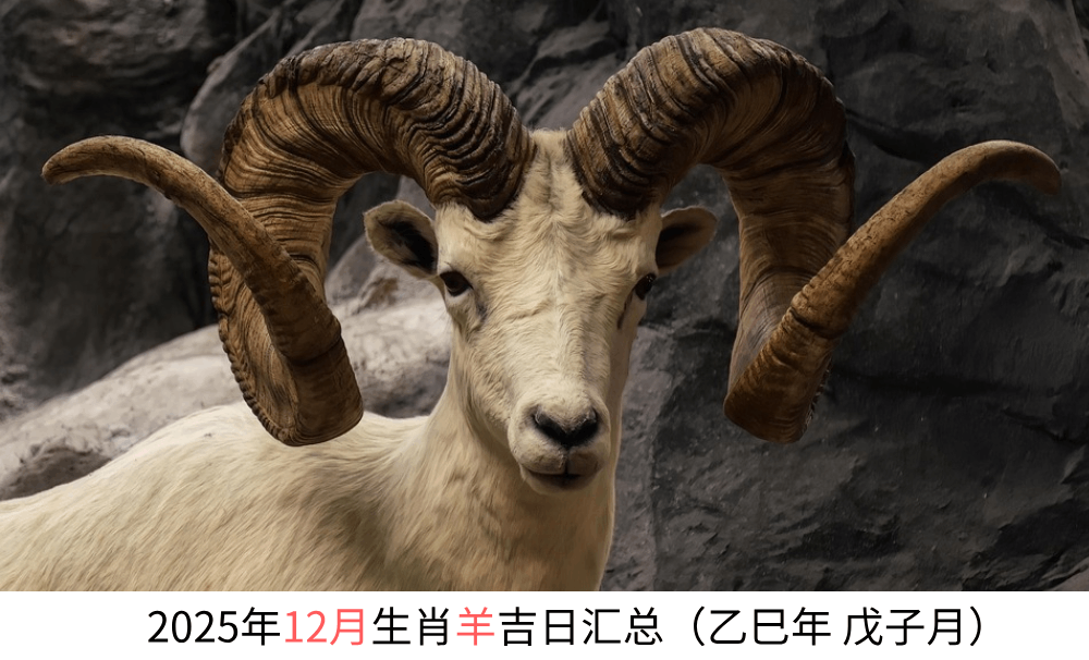 2025年12月生肖羊黄道吉日汇总（乙巳年 戊子月）