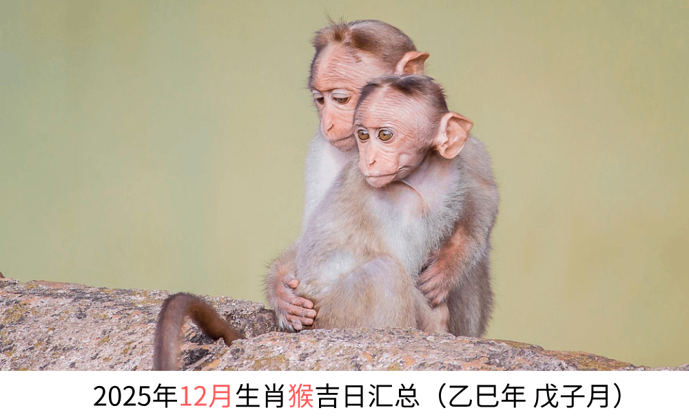 2025年12月生肖猴黄道吉日汇总（乙巳年戊子月）