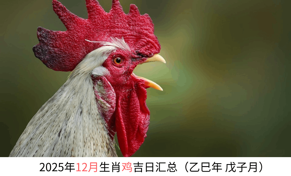 2025年12月生肖鸡黄道吉日汇总（乙巳年戊子月）