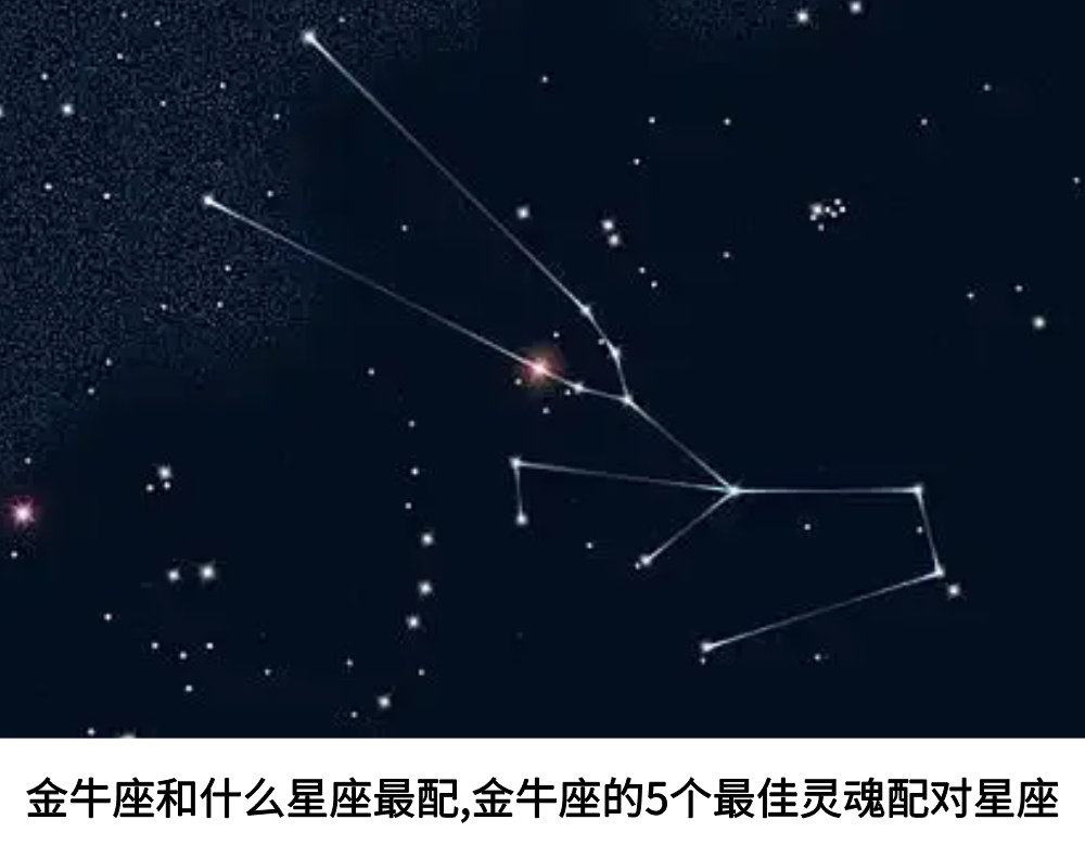 金牛座和什么星座最配，金牛座的5个最佳灵魂配对星座！