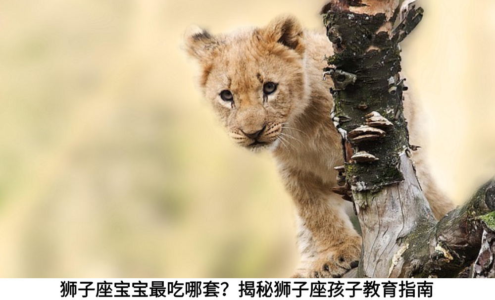 狮子座宝宝最吃哪套？揭秘狮子座孩子教育指南