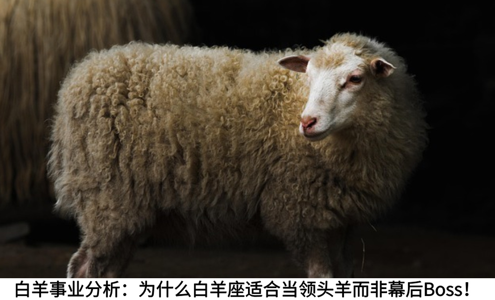 白羊事业分析：为什么白羊座适合当领头羊而非幕后Boss！