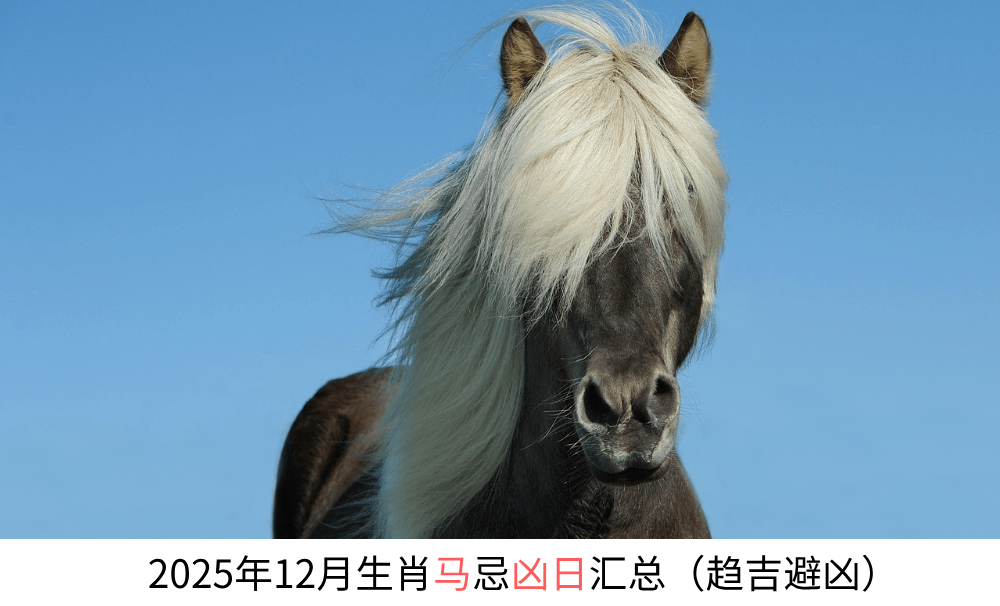 2025年12月生肖马忌凶日汇总(趋吉避凶)