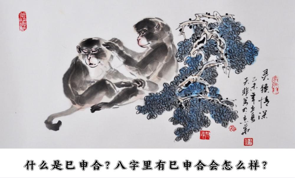 什么是巳申合？八字里有巳申合会怎么样？