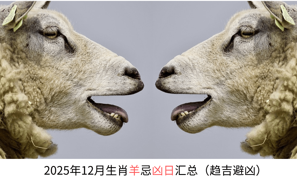 2025年12月生肖羊忌凶日汇总（趋吉避凶）