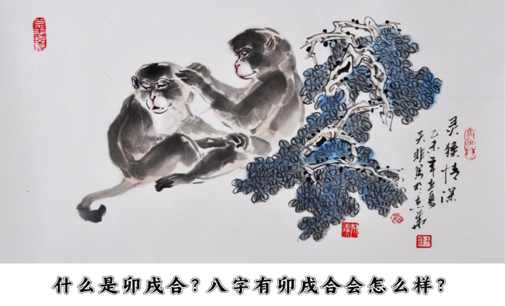 什么是卯戌合？八字有卯戌合会怎么样？