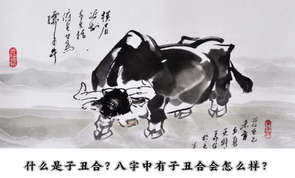 什么是子丑合?八字中有子丑合会怎么样?