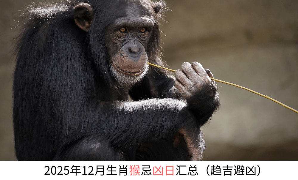 2025年12月生肖猴忌凶日汇总（趋吉避凶）
