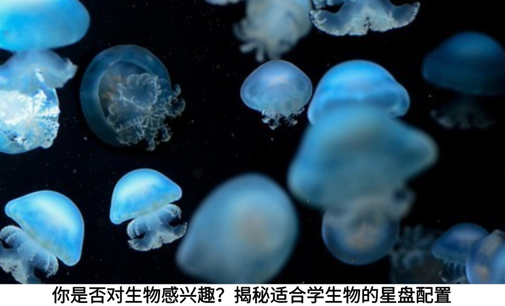 你是否对生物感兴趣？揭秘适合学生物的星盘配置