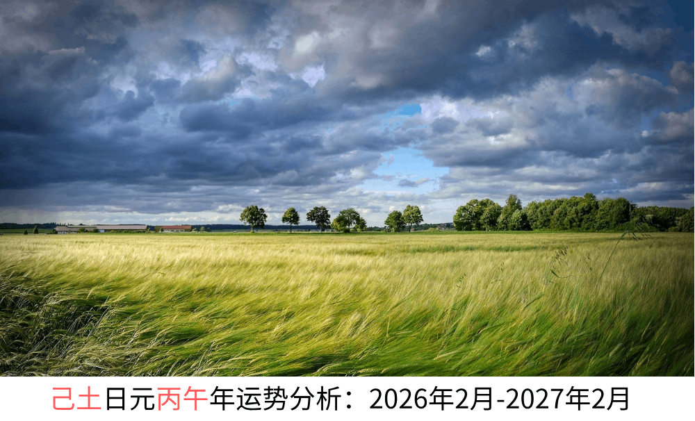 己土日元丙午年运势分析：2026年2月-2027年2月