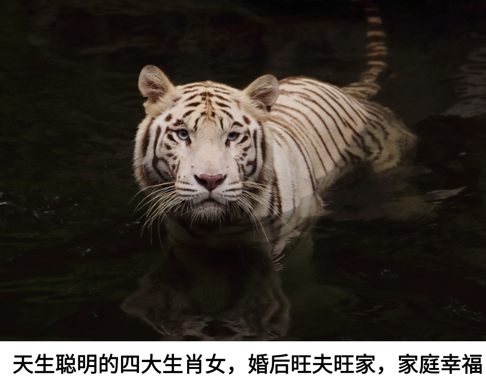 天生聪明的四大生肖女，婚后旺夫旺家，家庭幸福！