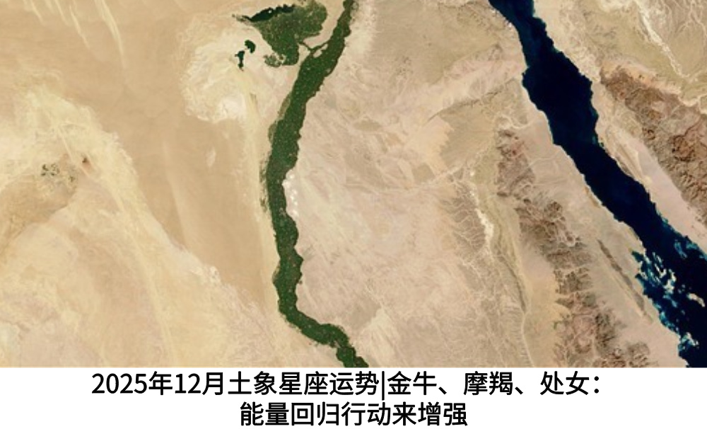 2025年12月土象星座运势|金牛、摩羯、处女：能量回归行动来增强