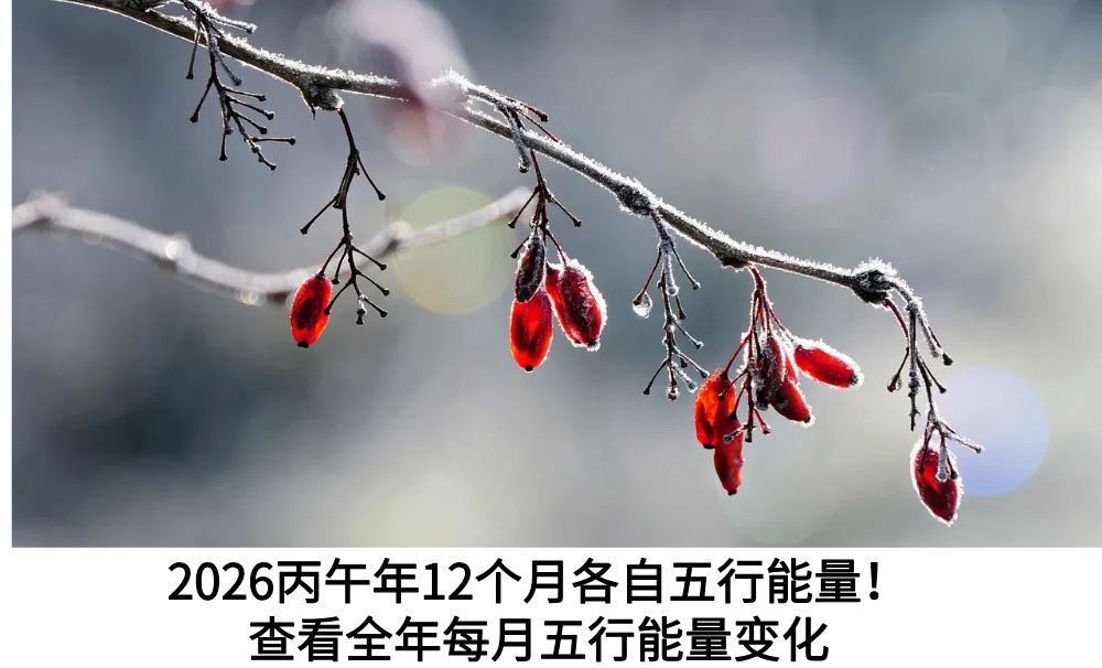 2026丙午年12个月各自五行能量！查看全年每月五行能量变化