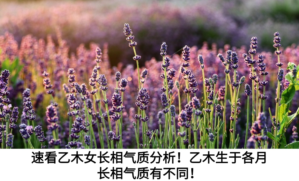 速看乙木女长相气质分析！乙木生于各月长相气质有不同！