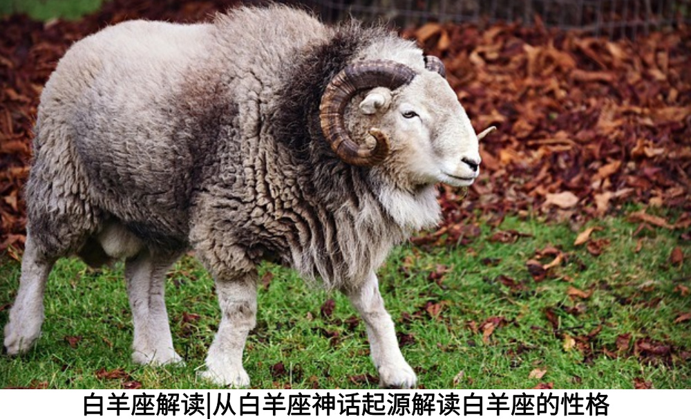 白羊座解读|从白羊座神话起源解读白羊座的性格