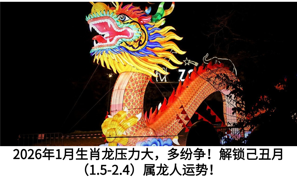 2026年1月生肖龙压力大，多纷争！解锁己丑月（1.5-2.4）属龙人运势！