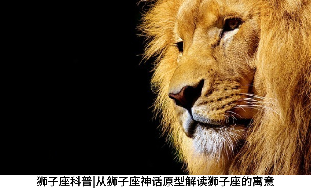 狮子座科普|从狮子座神话原型解读狮子座的寓意