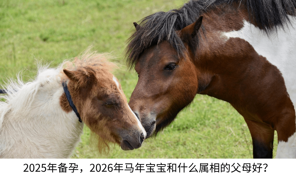 2025年备孕,2026年马年宝宝和什么属相的父母好?