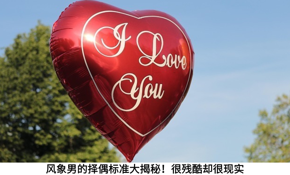风象男的择偶标准大揭秘!很残酷却很现实