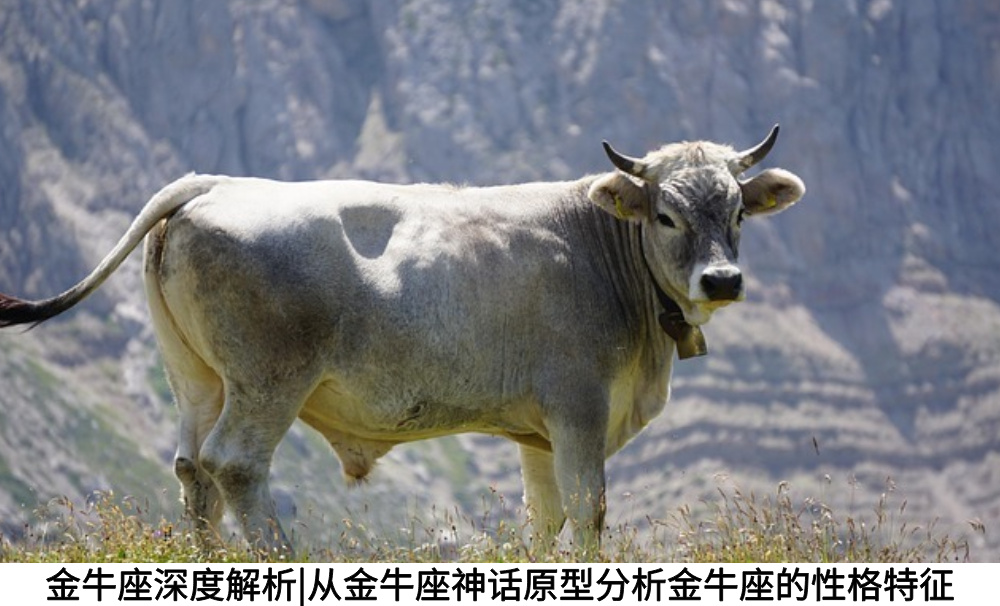 金牛座深度解析|从金牛座神话原型分析金牛座的性格特征