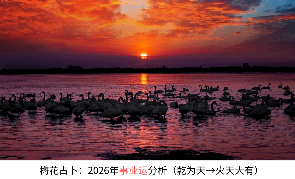 梅花占卜：2026年事业运分析（乾为天→火天大有）