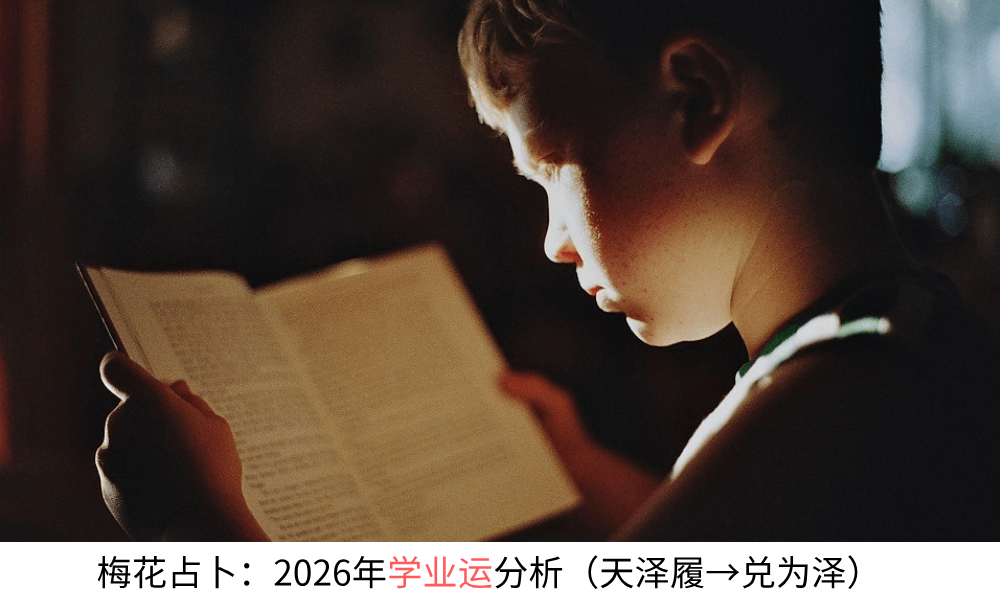 梅花占卜：2026年学业运分析（天泽履→兑为泽）