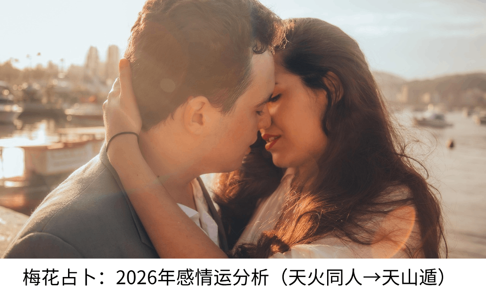 梅花占卜:2026年感情运分析(天火同人→天山遁)