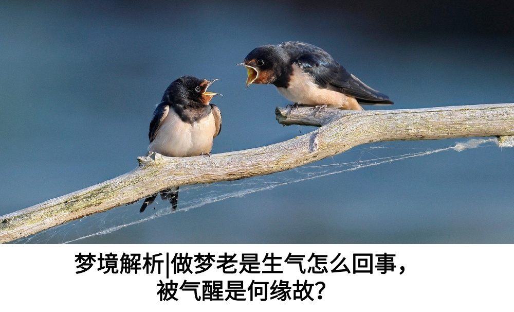 梦境解析|做梦老是生气怎么回事，被气醒是何缘故？