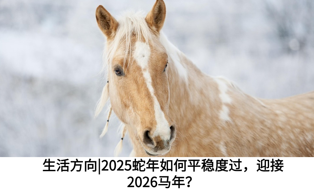 生活方向|2025蛇年如何平稳度过,迎接2026马年?