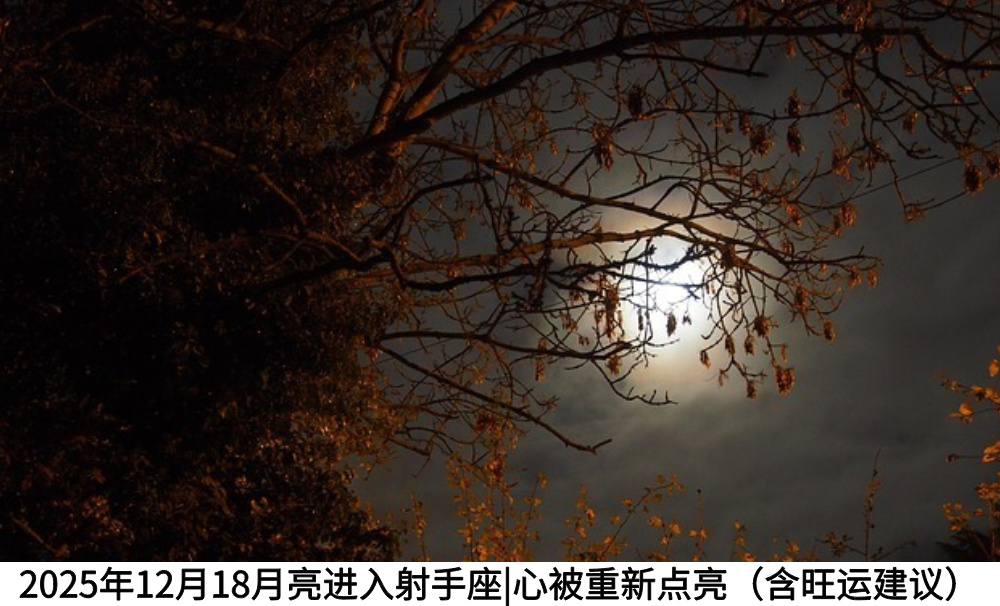 2025年12月18月亮进入射手座|心被重新点亮(含旺运建议)