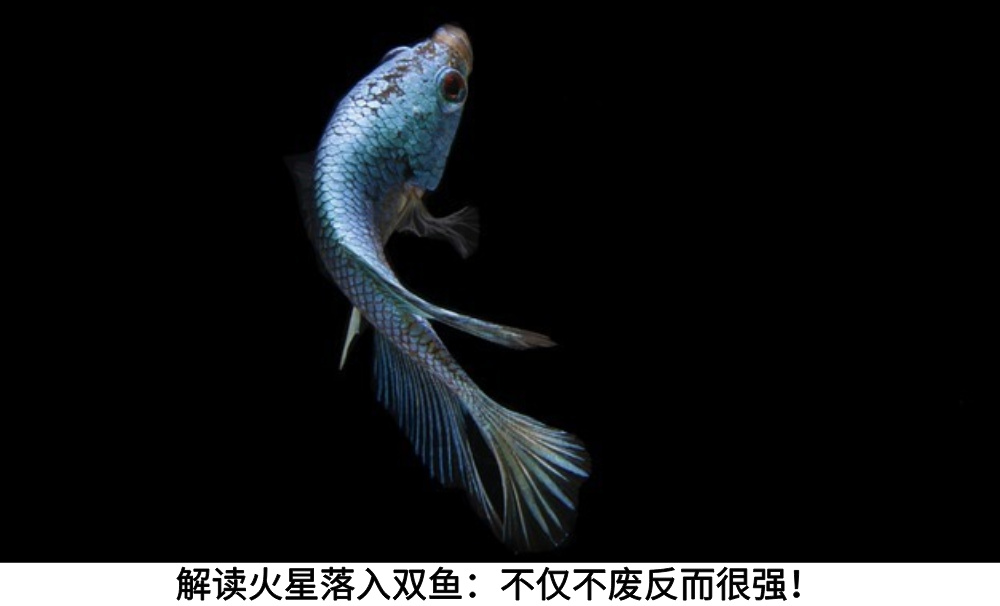 解读火星落入双鱼:不仅不废反而耐力很强!