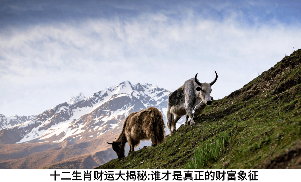 十二生肖财运大揭秘：谁才是真正的财富象征