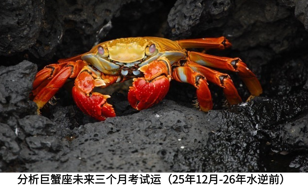分析巨蟹座未来三个月考试运（25年12月-26年水逆前）