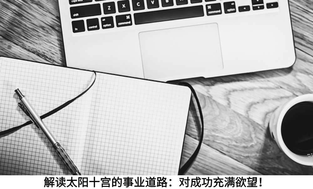 解读太阳十宫的事业道路：对成功充满欲望！