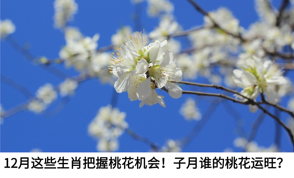 12月这些生肖把握桃花机会！子月谁的桃花运旺？