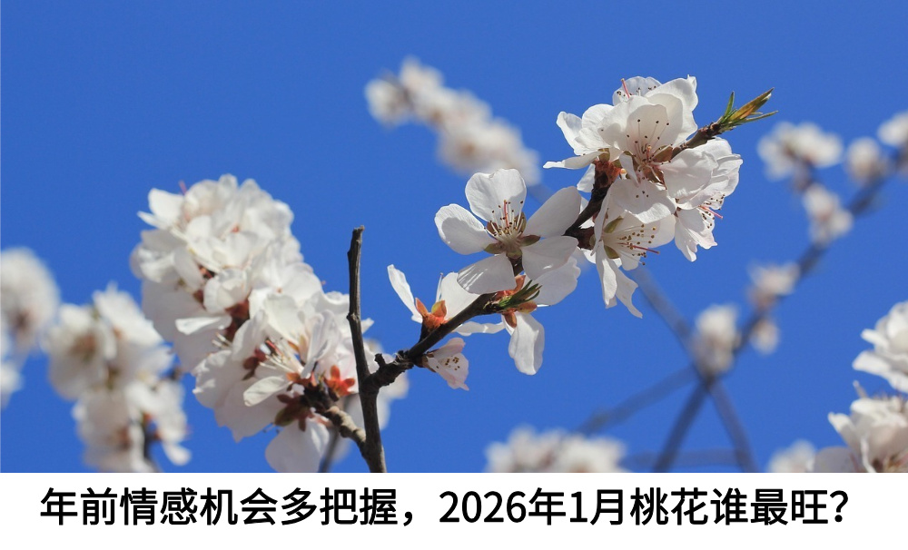 年前情感机会多把握，2026年1月桃花谁最旺？