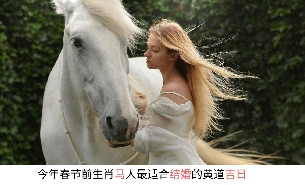 今年春节前生肖马人最适合结婚的黄道吉日
