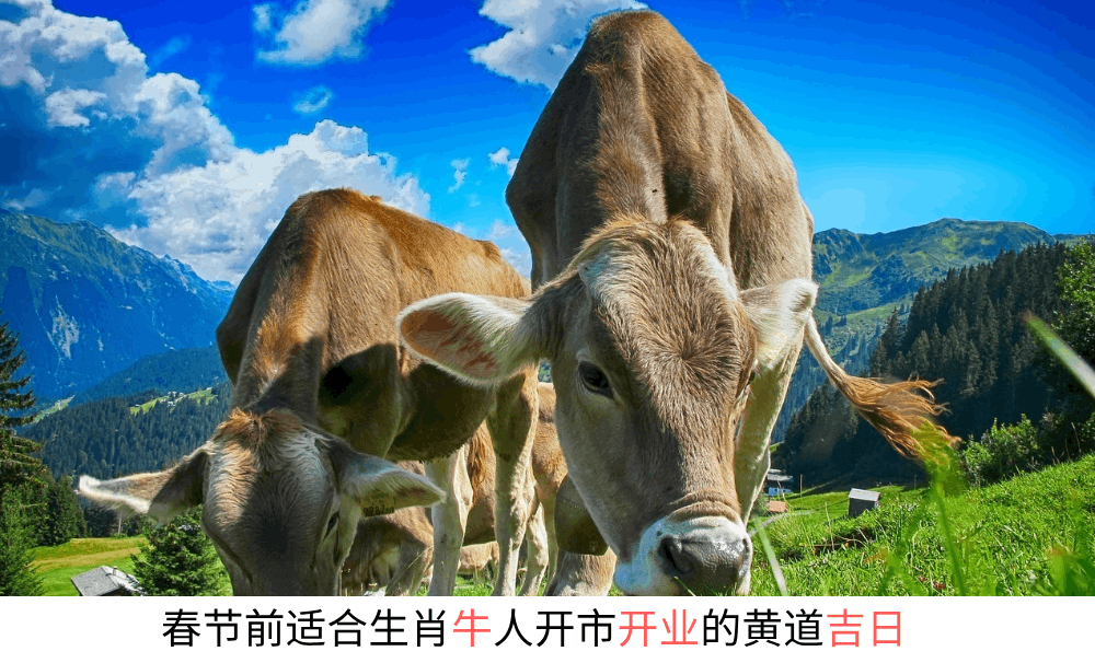 今年春节前适合生肖牛人开市开业的黄道吉日
