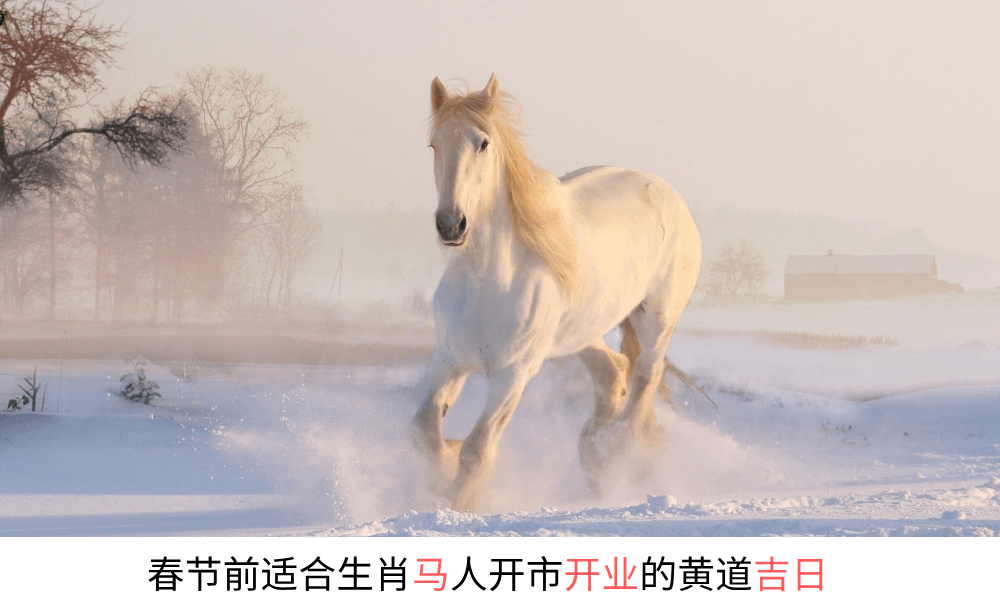 今年春节前适合生肖马人开市开业的黄道吉日