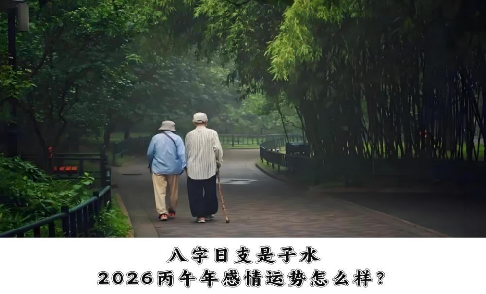 八字日支是子水，2026丙午年感情运势怎么样？
