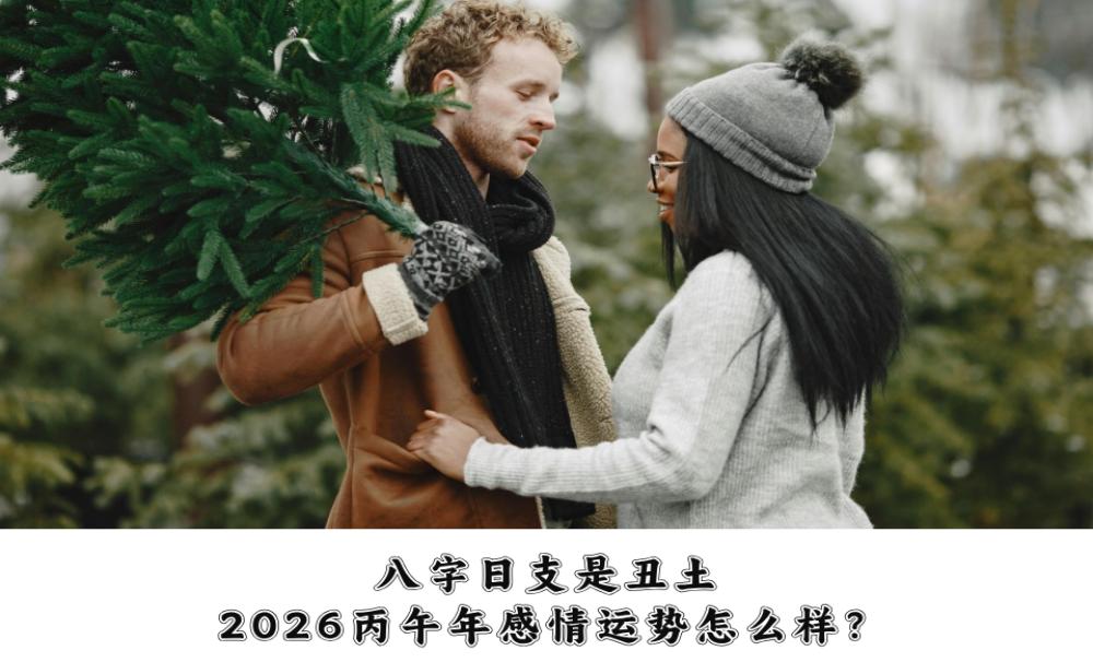 八字日支是丑土，2026丙午年感情运势怎么样？