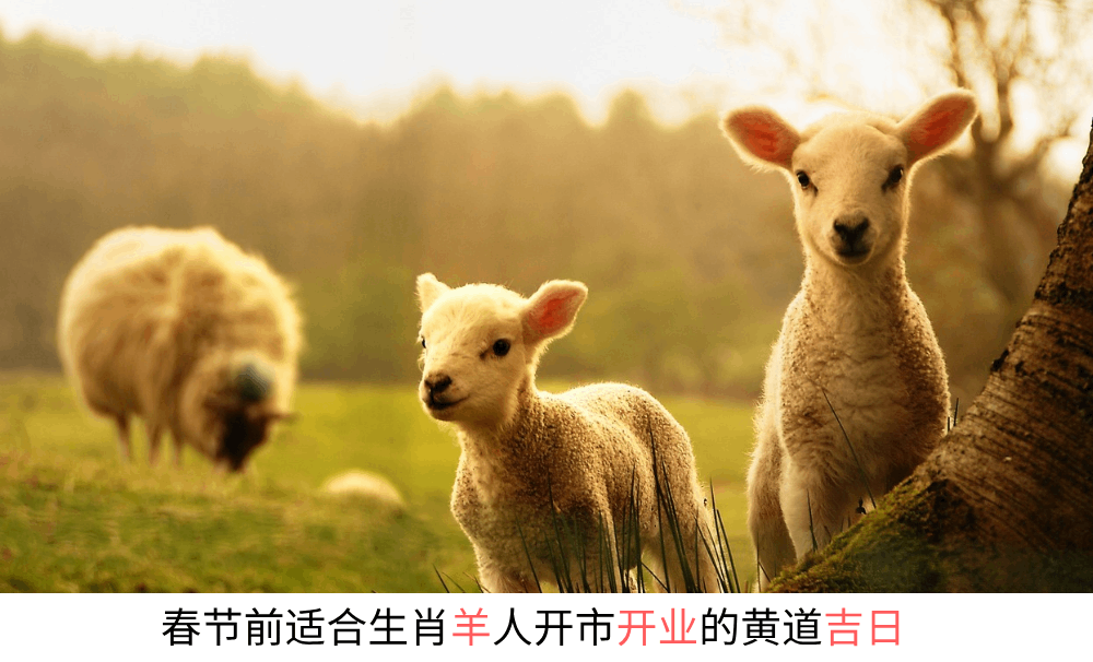 今年春节前适合生肖羊人开市开业的黄道吉日
