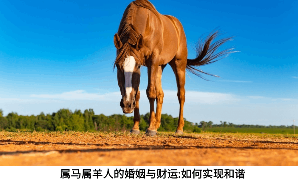 属马属羊人的婚姻与财运：如何实现和谐