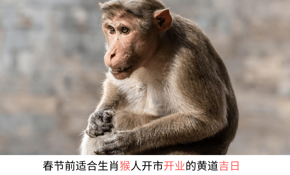 今年春节前适合生肖猴人开市开业的黄道吉日