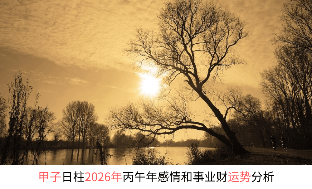 甲子日柱2026年丙午年运势如何？