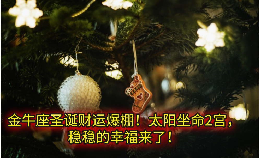 金牛座圣诞财运爆棚！太阳坐命2宫，稳稳的幸福来了！