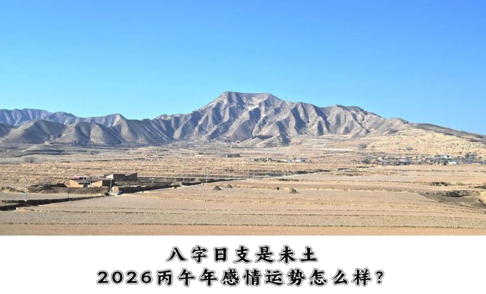 八字日支是未土，2026丙午年感情运势怎么样？